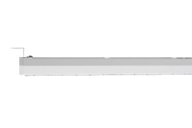 DA-ORANGEROOT - Image 15